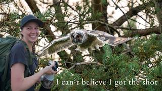 I Cant Believe I Got The Shot Photographing Long Eared Owls