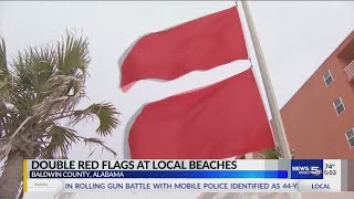 Celebrity Double red flags at local beaches Profile