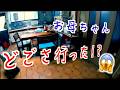 【認知症母８】帰ったら母が居ない！【年齢の訂正とお詫び96→98歳でした】