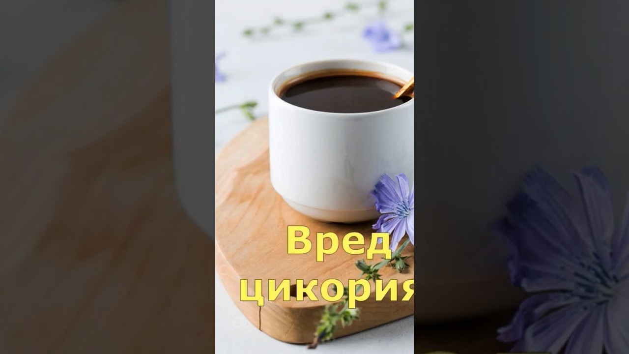 ВРЕД ЦИКОРИЯ - YouTube
