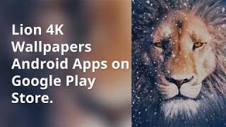 Most Free Android Apps "Wallpaper Lion 4K Image Background"|Best HD Image..... screenshot 1