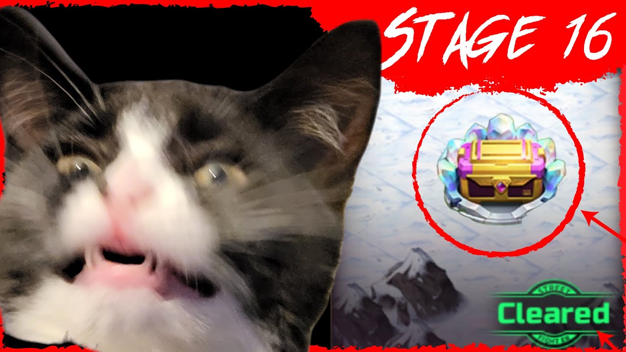 Wonderland Training Stage 16 | QUICK &amp; EASY | Street Fighter Duel (Sf Duel) - YouTube
