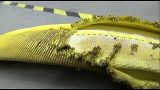 Full Burned-Through Fire Hoses Remain a Risk for Firefighters Guide