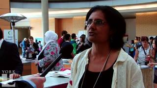 Equity Studies | And Social Justice for All