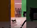 اول ترويج لإعلان جيمروش Cemrearda Ruzgarlitepe Zeyhal Shorts Funny Foryou Fyp Viral Video Love اول ترويج لإعلان جيمروش Cemrearda Ruzgarlitepe Zeyhal Shorts Funny Foryou Fyp Viral Video Love