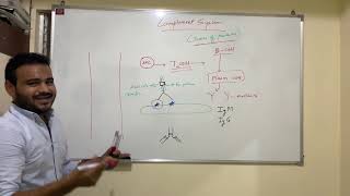 COMPLEMENT SYSTEM PART 1
