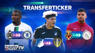 Rutter vor Leeds-Transfer / Chelsea will Thuram / Ajax holt Weltmeister-Torwart | TRANSFERMARKT