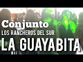 La Guayabita Video Del Amigo Jay Adictos Al Baile Con Musica De Los Rancheros Del Sur Conjunto