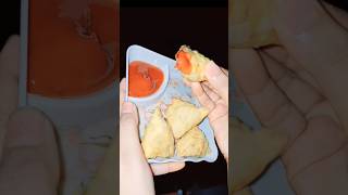 Mini Samosa Recipe