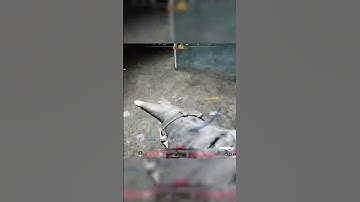 warzone top 250 Movement #yymovement #bo7 #warzone #cod #movement #yy  #warzonesettings #callofduty