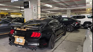 Hertz car rental  Miami airport MIA  September 2023 | Mustang Shelby GT 500