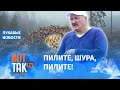 Как Лукашенко хвастался проваленной модернизацией / Лукавые новости