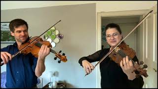 W. A. Mozart - Duo for Violin and Viola, K 424, andante cantabile Resimi