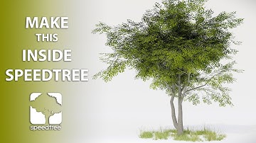 Make Trees for Games and 3D Scenes in SpeedTree - Full Tutorial