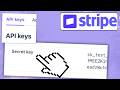 How to Find Your Secret API Key on Stripe | Do Website Integration & More! - 2026