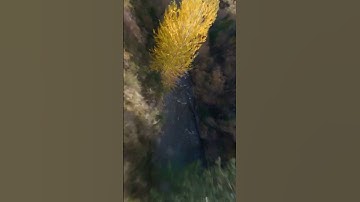 The clouds ⛅️ are so dreamy 😌 - fpv drone 🕹️🕹️