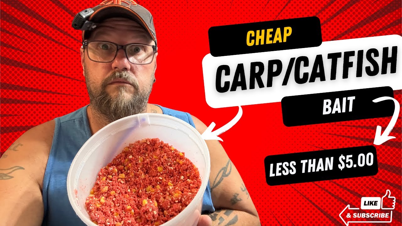 Cheap Carp/Catfish Bait (Less than $5.00)