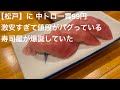 【松戸】みのり台にあるさくらば商店で 激安の寿司をさかなに ホッピーで昼呑みをした時の飯動画です @gotono-bkyugurumetabi 