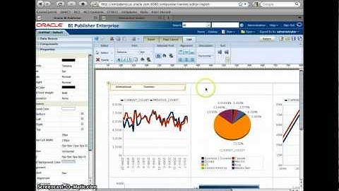 How to create Interactive Report with BI Publisher 11G