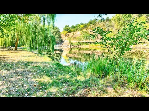 Praias Fluviais de Portugal - Serapicos