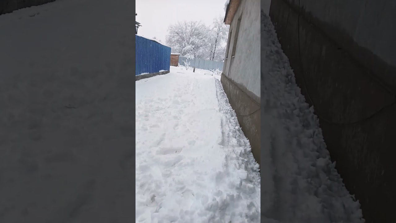 электронной жемчужина