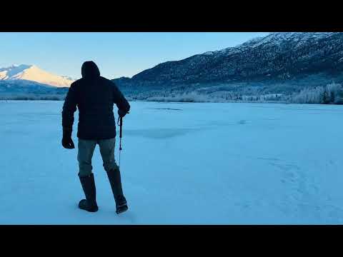 Winter Hiking at Hunter Creek, Alaska | Fresh Snow and Counting! #shorts #alaskalife #huntercreek
