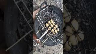 Jengkol Bergoyang
