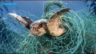 DoE rescue turtle from ‘ghost net’