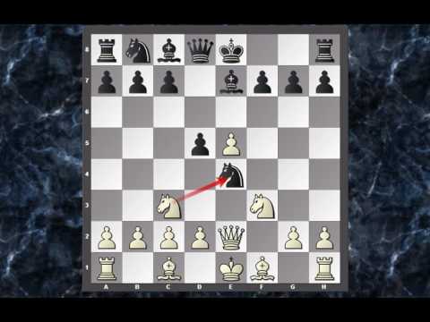 2 aberturas agressivas que todo iniciante de xadrez deve conhecer!!! 