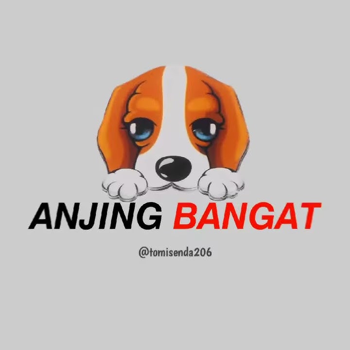 story wa anjing bangat