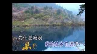 齊豫Chyi Yu -- 橄欖樹 (Gan Lan Shu)