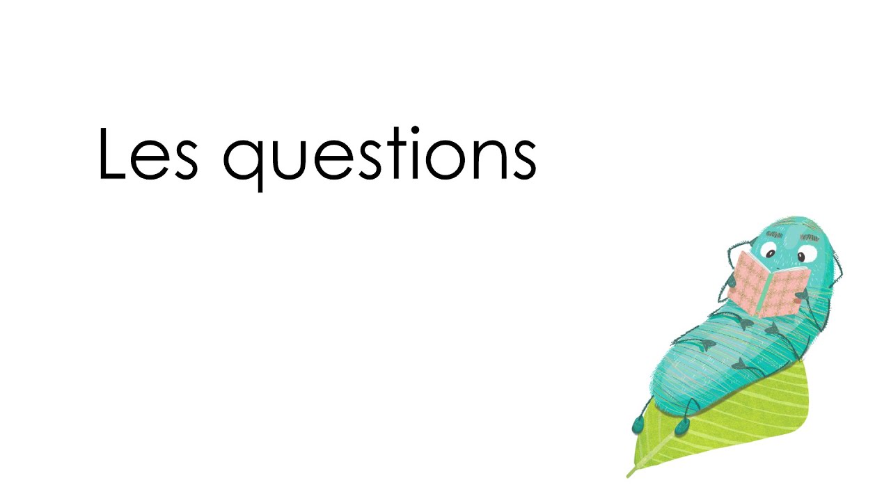 Les questions - YouTube