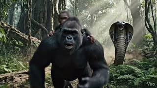 copy 7711A316 E7F5 4F6F 90A1 6484BD85932B