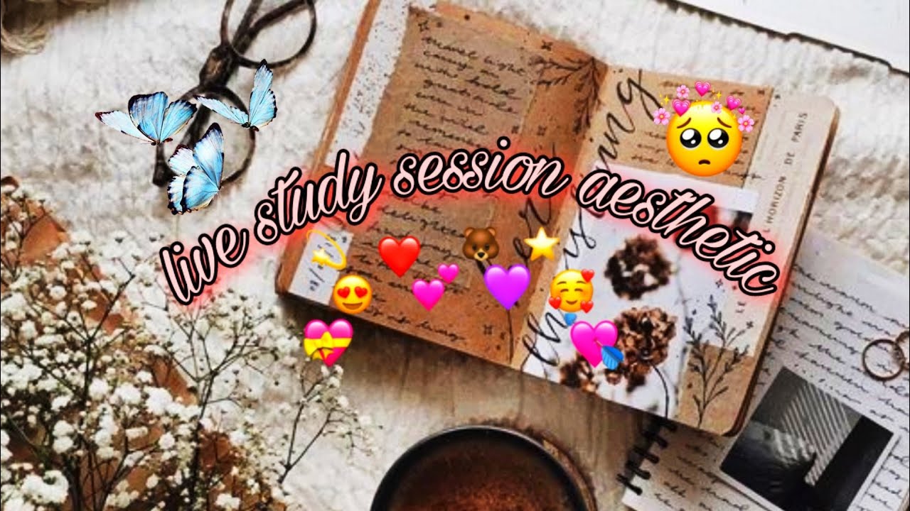 live study session | 4 am | 1 hours study | 