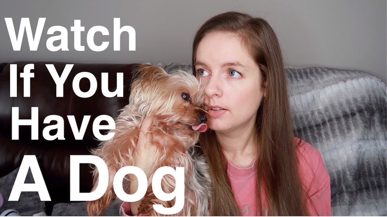 Is Your Dog Sick? Grain Free & DCM In Dogs | Truth & Facts - YouTube