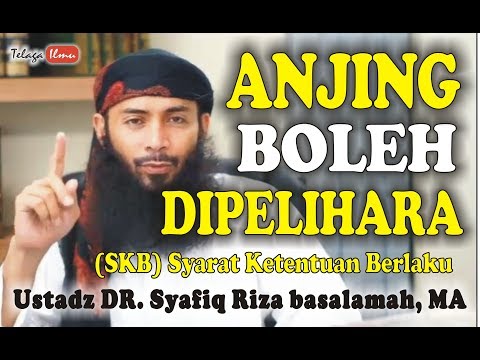 Video: Siapa Yang Mendapat Faedah Dari Undang-undang Haiwan? - Pandangan Alternatif