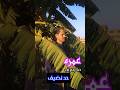 نصيحه البني ادم المتلو من جوه عمره ما يعرف حد نضيف