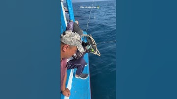 Câu cá biển Côn Đảo 🏝️ #cauca #caucabien #caubien #caujigging#caujig