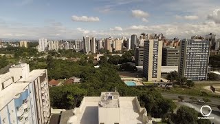 Plano de arborização na região