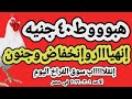 اسعار الفراخ البيضاء اليوم سعر الفراخ البيضاء اليوم الاحد 2026 3 1 في مصر جمله وقطاعي