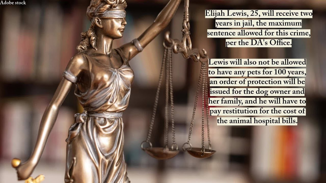 Schenectady man pleads guilty to animal cruelty - YouTube