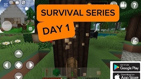 mini block craft:survival series DAY 1