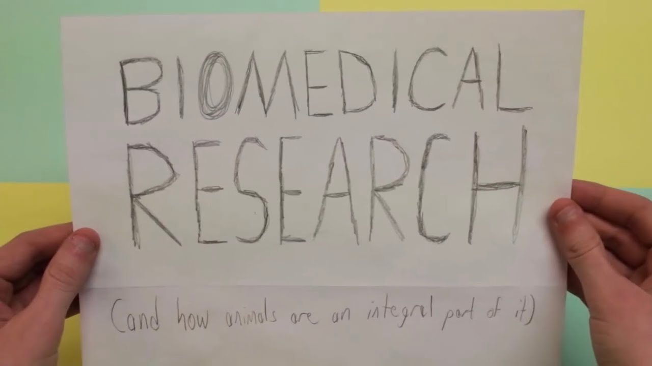 Biomedical Research Saves Lives - PSBR Digital Media Contest Submission (2nd Place Winner)