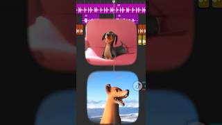 APT x Dog of Wisdom #memes #mashup #dogofwisdom