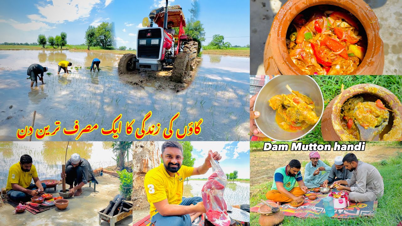 A Busy day of Village life in Pakistan | Made mutton handi for lunch with work in fields