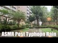 Asmr japan post typhoon 13 rain walk 20230908 ambience sound sleep meditate relax tokyo suburb