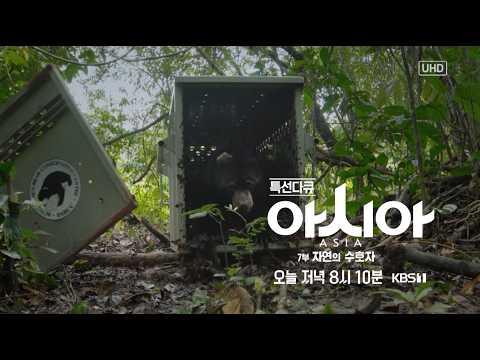 [설 특선다큐 예고] 사막에서 동토까지 거대 대륙의 야생을 보다 ☀️아시아☀️ 7부 자연의 수호자 KBS 1TV