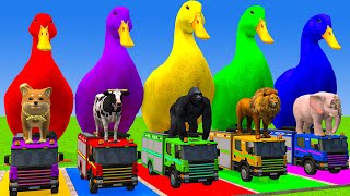 Long Slide Game With Cow Elephant Gorilla Hippopotamus Tiger 3d Animal Game Funny 3d Animals