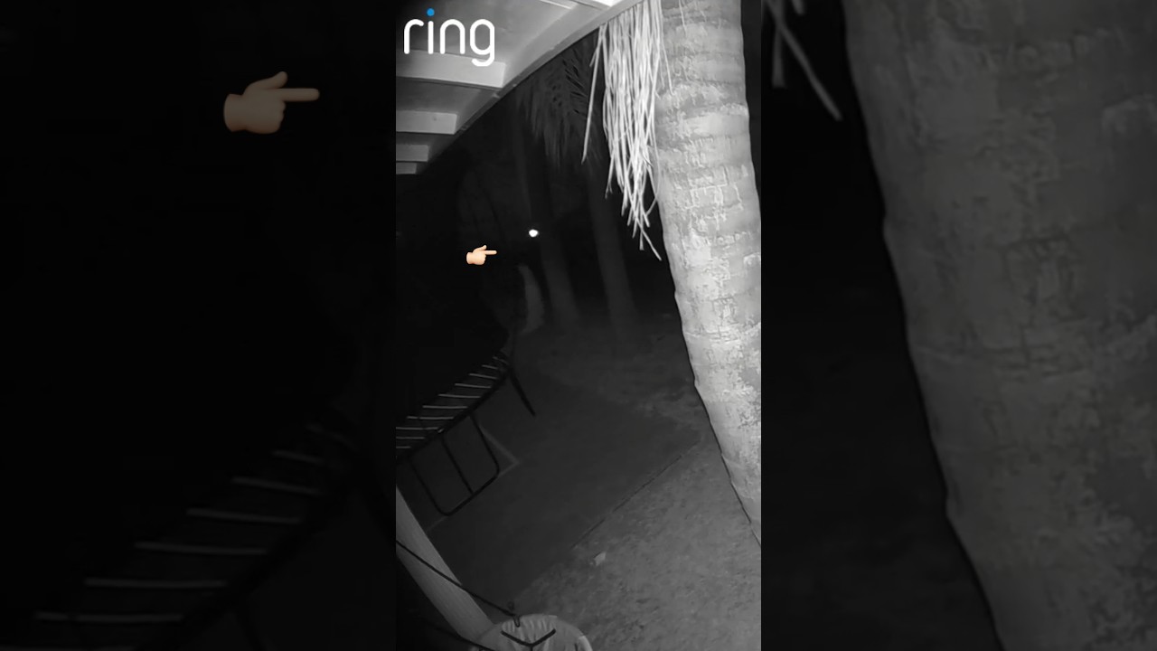 Saw a Little Ghost Girl In Our Backyard!! 