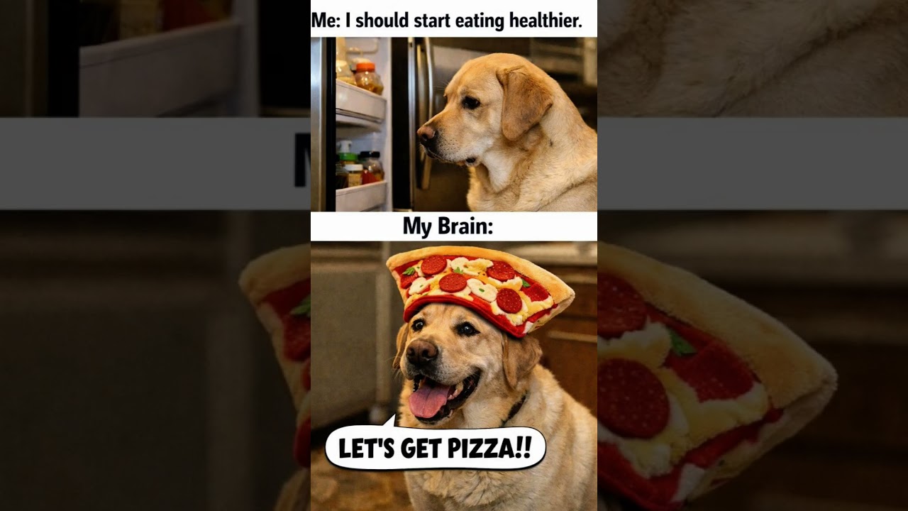 I should start eating healthier, my brain meme